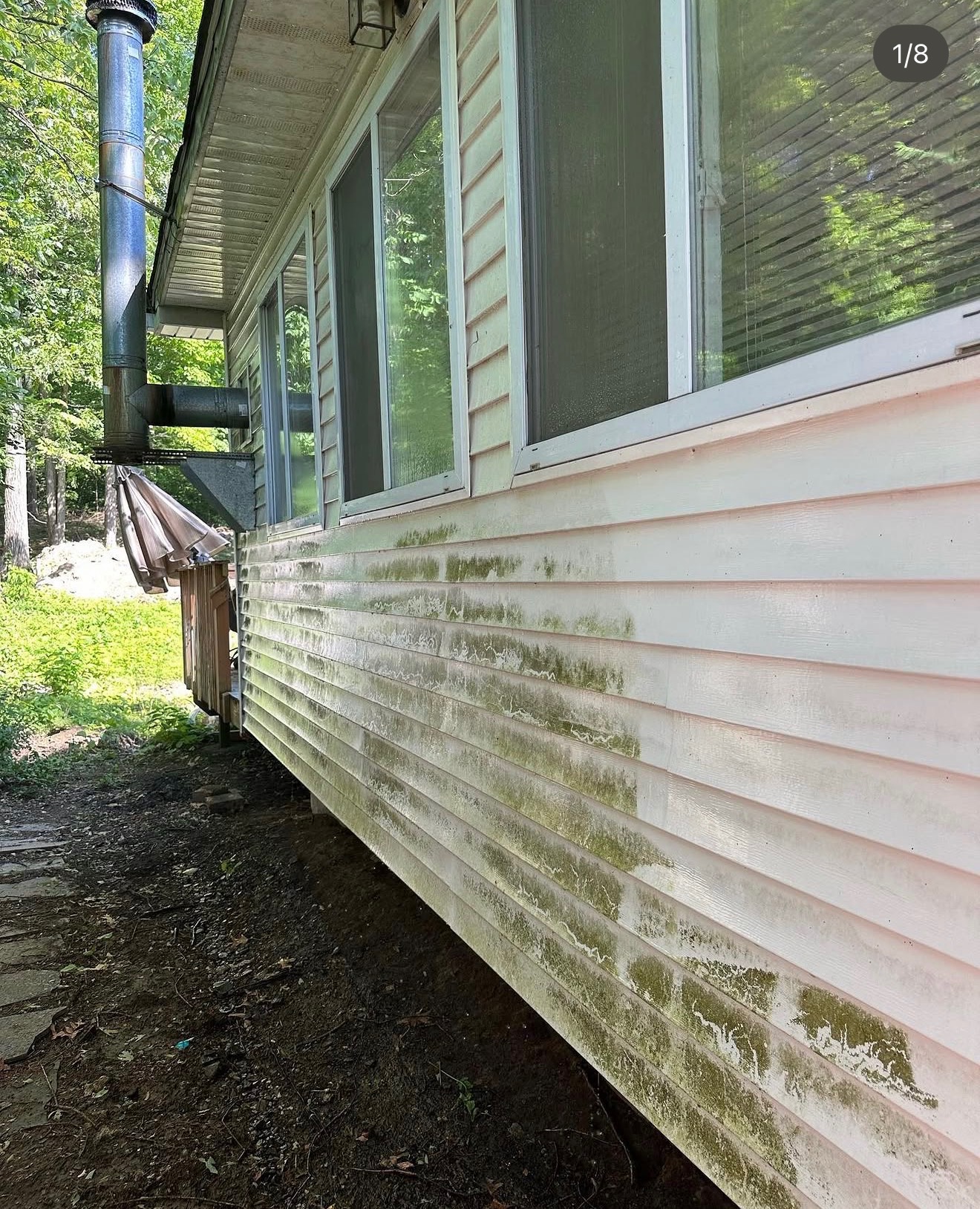 Vinyl siding with green algae before washing